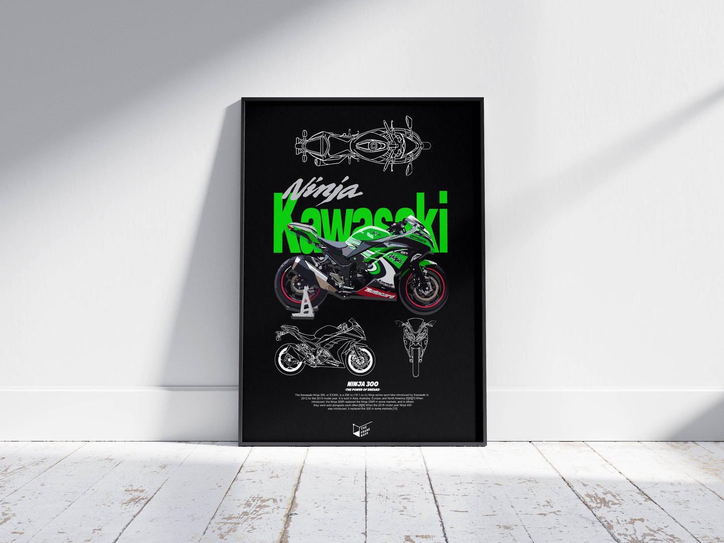 Kawasaki Ninja 300
