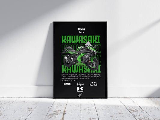 Kawasaki Ninja H2R - Green